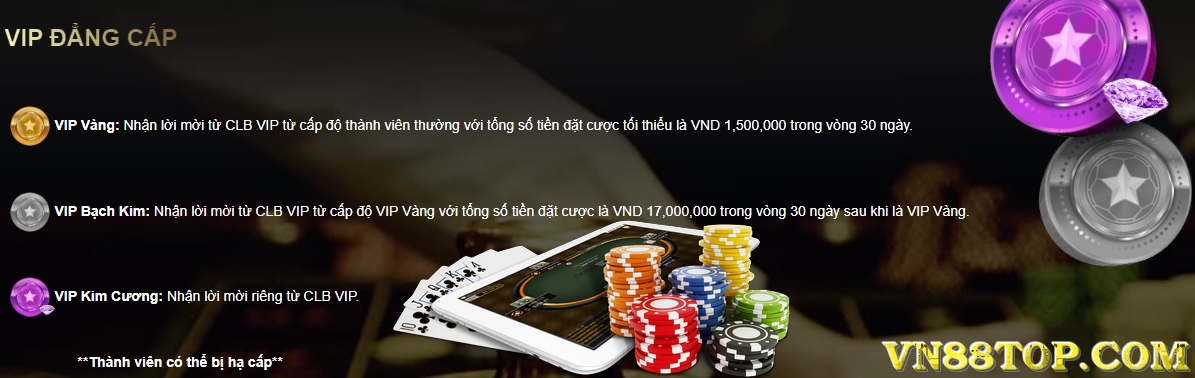 VN88 VIP – Câu lạc bộ VIP của những người chơi đẳng cấp